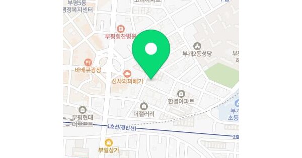 인천광역시 부평구 부평동 494-2 아이앤비아파트  3층313호 미지정 경매 물건 이미지