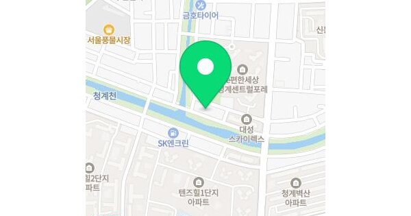 서울특별시 동대문구 용두동 255-49 청계한양아이클래스  제2층 제216호 미지정 경매 물건 이미지