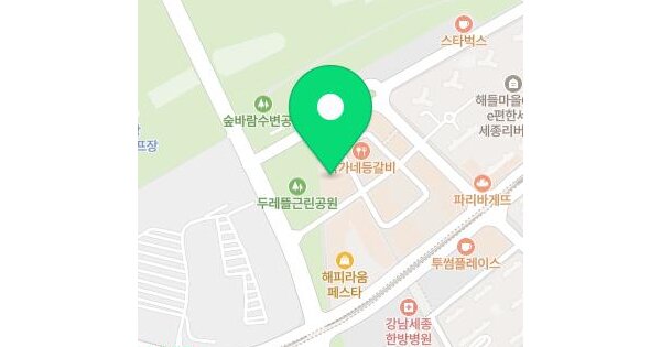 세종특별자치시  대평동 674 해피라움블루  3층317호 미지정 경매 물건 이미지