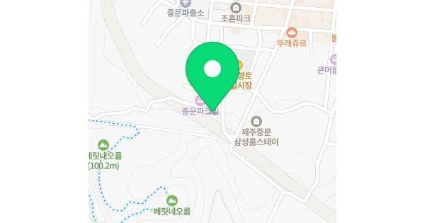 제주특별자치도 서귀포시 중문동 2330-9 오션클라우드 2층 226호 미지정 경매 물건 이미지