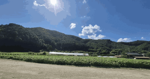 강원특별자치도 홍천군 서면 팔봉리 산241  미지정 경매 물건 이미지