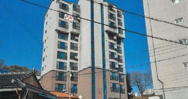 강원특별자치도 삼척시 교동 697-15 대지 경매 물건 이미지