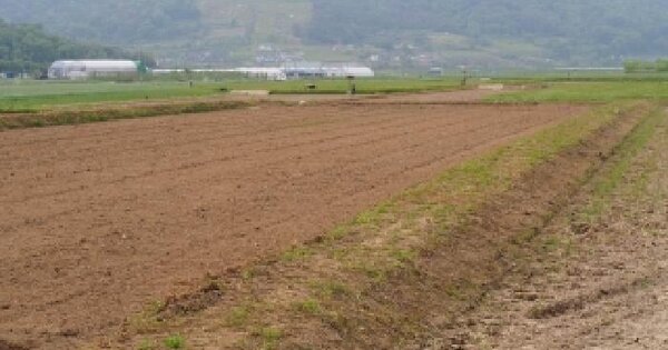 경상남도 창녕군 부곡면 온정리 453-2 답 경매 물건 이미지