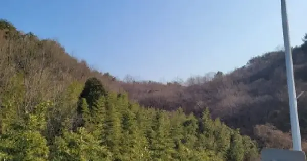 전남광주통합특별시 광양시 성황동 산60-18 임야 경매 물건 이미지