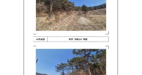 전남광주통합특별시 함평군 월야면 양정리 산18 임야 경매 물건 이미지