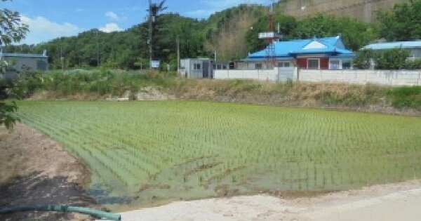 충청남도 부여군 세도면 장산리 77-1 답 경매 물건 이미지