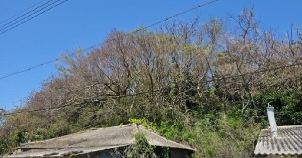 전남광주통합특별시 완도군 군외면 영풍리 744 전 경매 물건 이미지