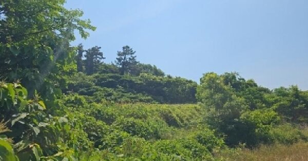 전남광주통합특별시 해남군 화원면 인지리 469-4 전 경매 물건 이미지