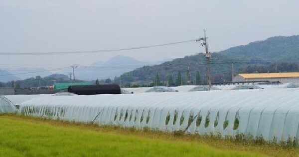 경상남도 밀양시 하남읍 백산리 1728 답 경매 물건 이미지
