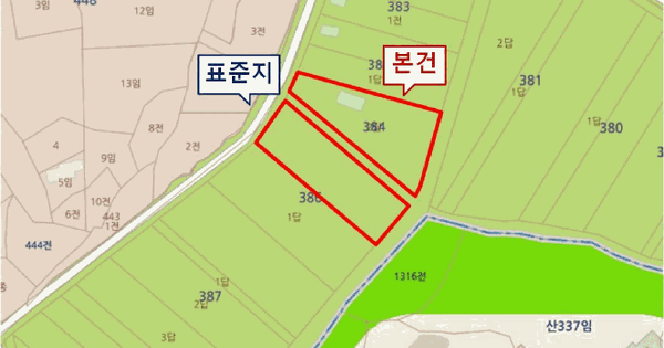 경기도 평택시 고덕면 당현리 384-2  답 경매 물건 이미지