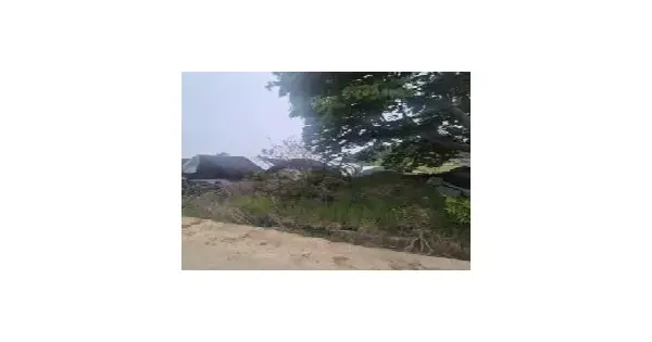 전남광주통합특별시 함평군 대동면 향교리 1346-2 답 경매 물건 이미지