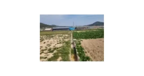 전남광주통합특별시 신안군 비금면 고서리 189 전 경매 물건 이미지