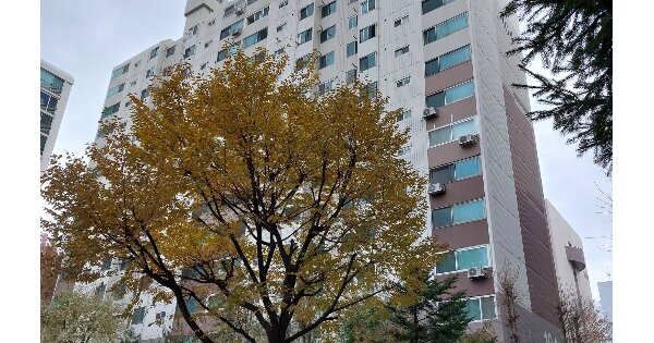 서울특별시 노원구 중계동  360-2 청구아파트 104동 3층304호 아파트 경매 물건 이미지