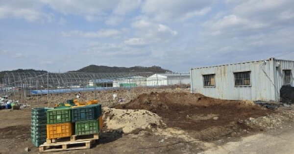 경상북도 영천시 대전동 301-4 과수원 경매 물건 이미지