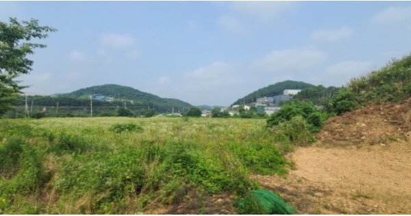 경기도 파주시 월롱면 덕은리 772-7 임야 경매 물건 이미지