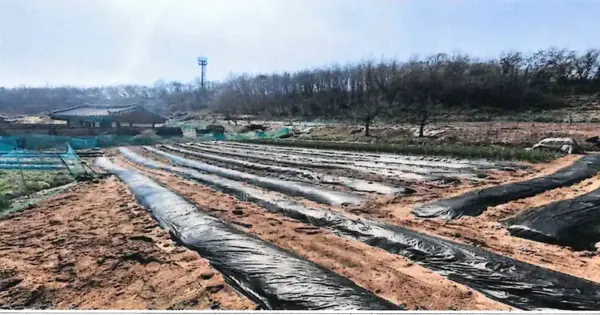 충청북도 청주시 청원구 오창읍 농소리 94-3 전 경매 물건 이미지