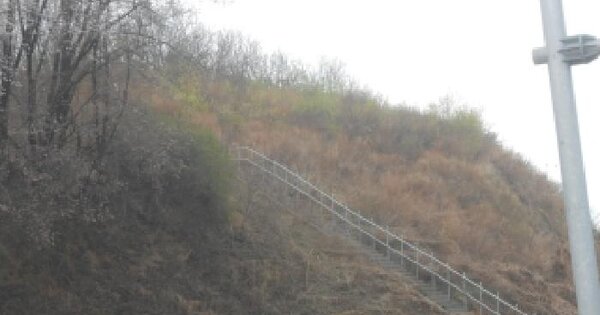 세종특별자치시 연기면 연기리 484-16 임야 경매 물건 이미지