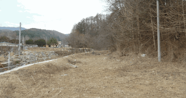 경기도 양평군 강하면 항금리 381 답 경매 물건 이미지