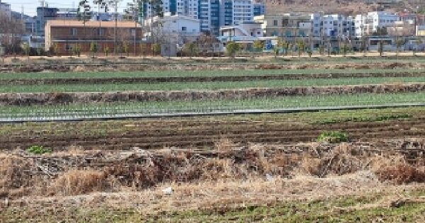 경상남도 김해시 진영읍 여래리 523-8 답 경매 물건 이미지