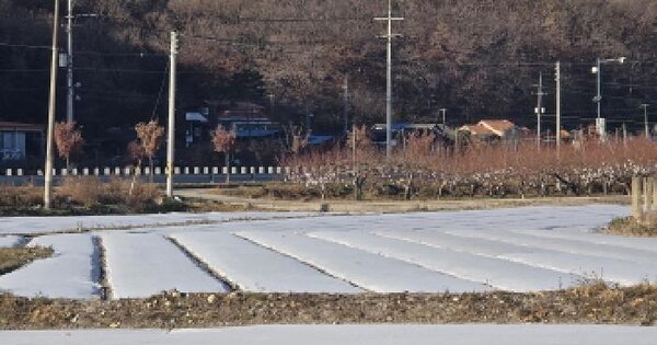 경상북도 영천시 임고면 양항리 195 답 경매 물건 이미지