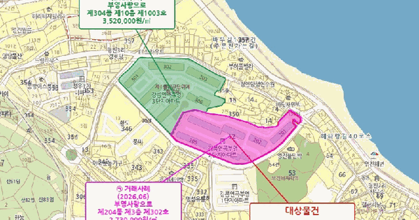 강원특별자치도 강릉시 연곡면 영진리 12 부영사랑으로 204동 307호 아파트 경매 물건 이미지