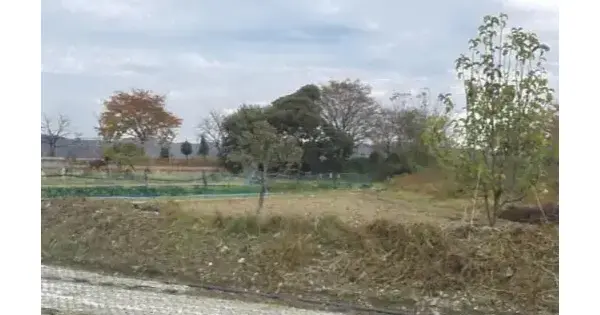 경상북도 영천시 임고면 양항리 149 대지 경매 물건 이미지