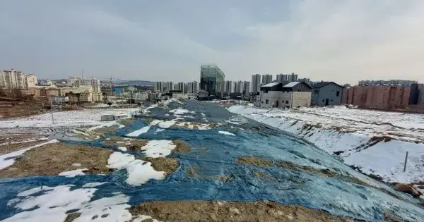 경기도 양주시 회정동 333-9 임야 경매 물건 이미지