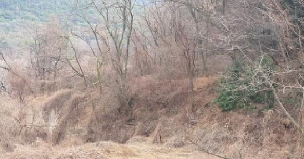 경상남도 창원시 마산합포구 진북면 대티리 583 전 경매 물건 이미지