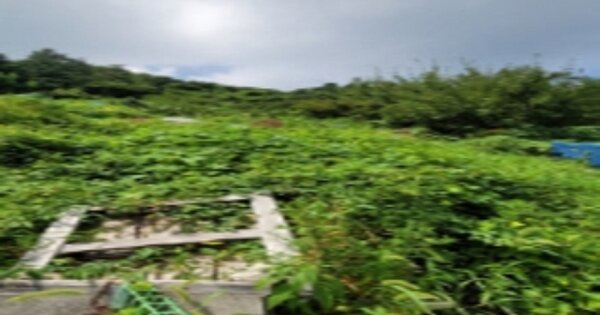 부산광역시 서구 서대신동3가 684-6 전 경매 물건 이미지