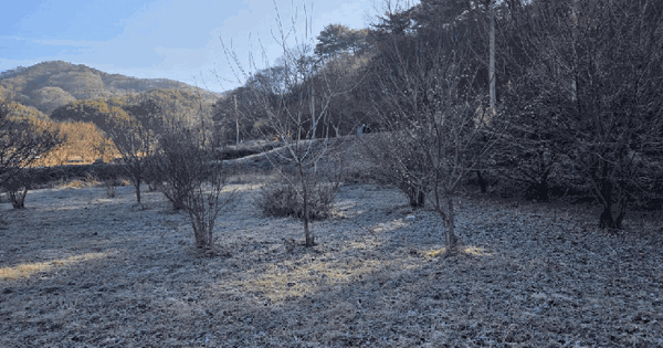 전남광주통합특별시 화순군 이양면 증리 718 답 경매 물건 이미지