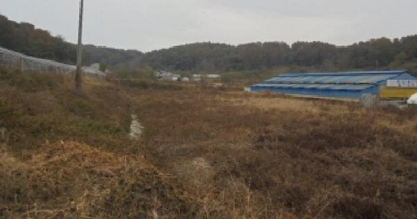충청남도 논산시 성동면 우곤리 1304-2  답 경매 물건 이미지