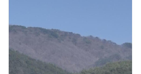 전남광주통합특별시 화순군 백아면 방리 산185 임야 경매 물건 이미지