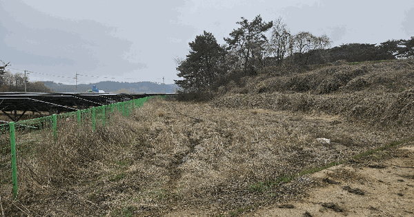 충청남도 당진시 고대면 장항리 1244 답 경매 물건 이미지