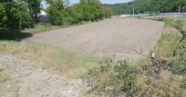 충청남도 논산시 양촌면 남산리 463 답 경매 물건 이미지