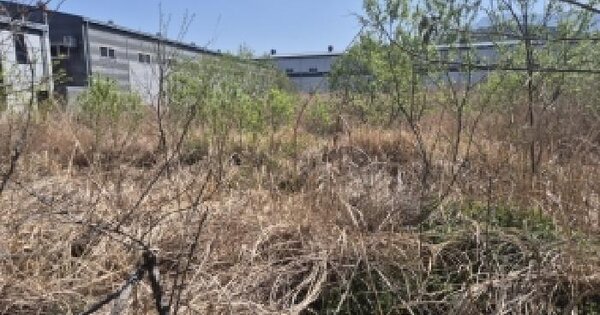 전남광주통합특별시 영광군 대마면 송죽리 1043-4 공장용지 경매 물건 이미지