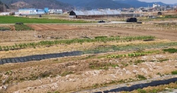 전남광주통합특별시 곡성군 옥과면 주산리 354 전 경매 물건 이미지