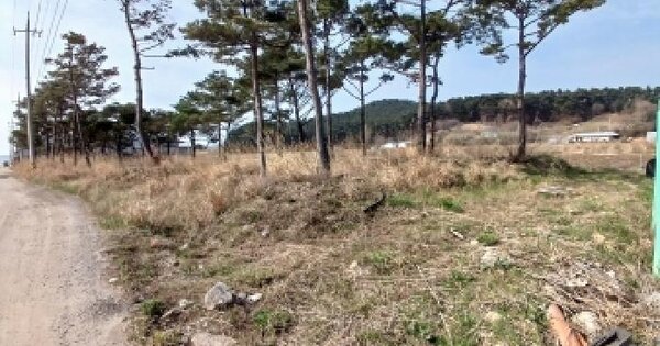 충청남도 서산시 대산읍 독곶리 99-135 유지 경매 물건 이미지
