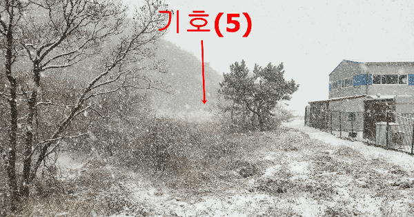 인천광역시 옹진군 자월면 이작리 395 답 경매 물건 이미지