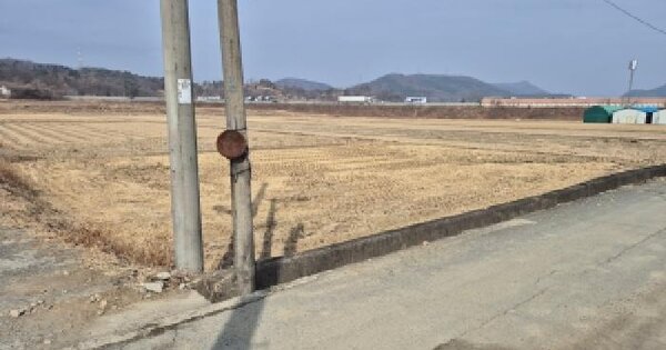 경상북도 경주시 서면 아화리 503-20 답 경매 물건 이미지