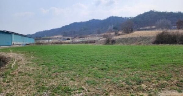 전남광주통합특별시 곡성군 겸면 마전리 1129 답 경매 물건 이미지