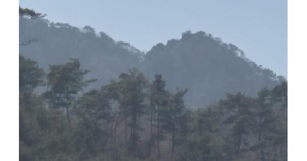 전남광주통합특별시 화순군 백아면 송단리 산132 임야 경매 물건 이미지