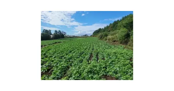 제주특별자치도 서귀포시 안덕면 사계리 3333 전 경매 물건 이미지