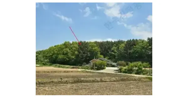 충청남도 서산시 팔봉면 덕송리 164-14 임야 경매 물건 이미지