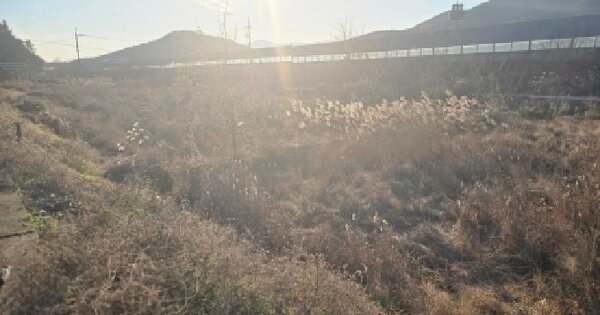 울산광역시 울주군 두서면 인보리 444-5 답 경매 물건 이미지
