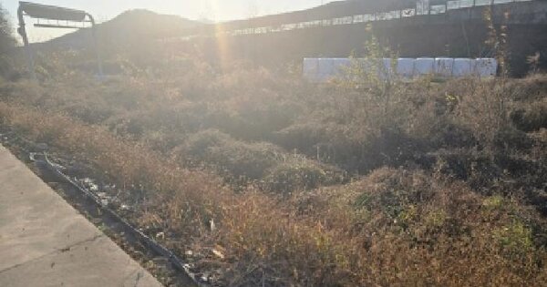 울산광역시 울주군 두서면 인보리 425-5 답 경매 물건 이미지