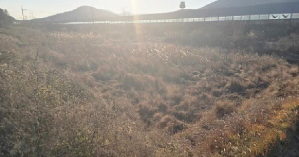 울산광역시 울주군 두서면 인보리 444-4 답 경매 물건 이미지