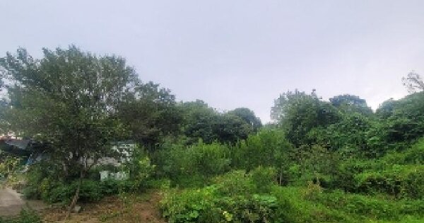 경상남도 의령군 의령읍 중동리 45-3 전 경매 물건 이미지
