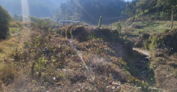 경상남도 함안군 산인면 운곡리 595 답 경매 물건 이미지
