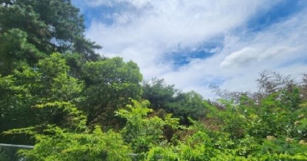 전남광주통합특별시 담양군 월산면 중월리 160 답 경매 물건 이미지