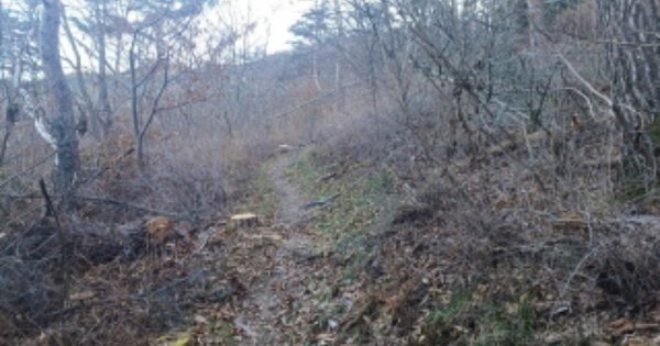 인천광역시 옹진군 덕적면 서포리 산57-1 임야 경매 물건 이미지